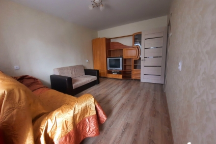 Квартира на сутки Лепель Боровка